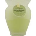 Green Tea & Ginger Essential Blend