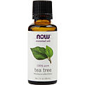 Essential Oils Now