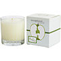 APPLE WOOD - LIMITED EDITION Candles od Exceptional Parfums #209946