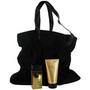 DONNA KARAN GOLD by Donna Karan #214188